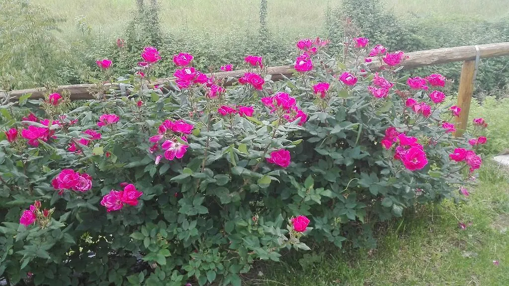 Country house Residenza Airone Guest House Vicenza Italy