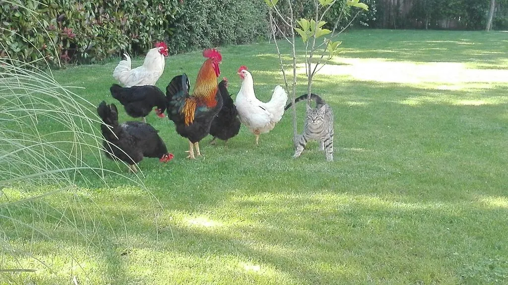 Country house Residenza Airone Guest House Vicenza Italy