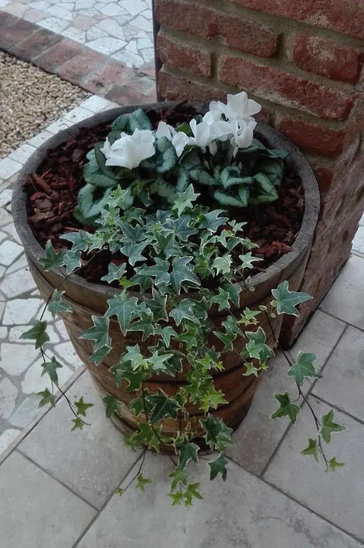 Residenza Airone Guest House Vicenza