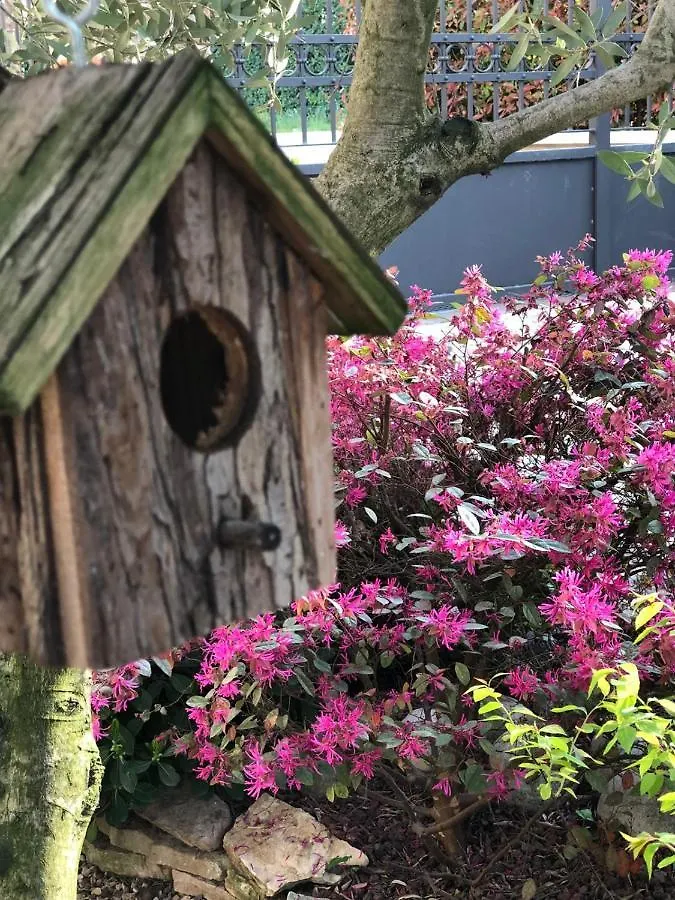 Residenza Airone Guest House Vicenza Country house